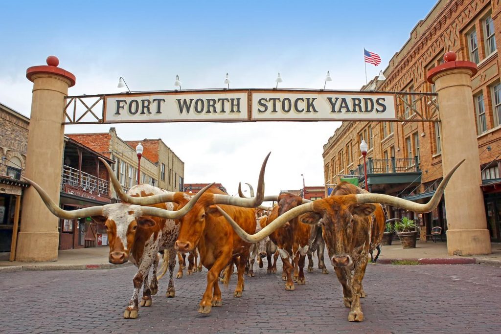 Fort Worth Where The West and Best Begin Neora Get Real Conference